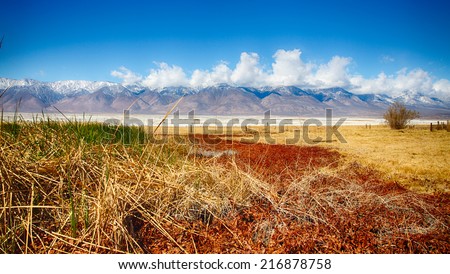 The fields of an old farm at the foot of the Eastern Sierra Nevada Mountain Range. California, USA