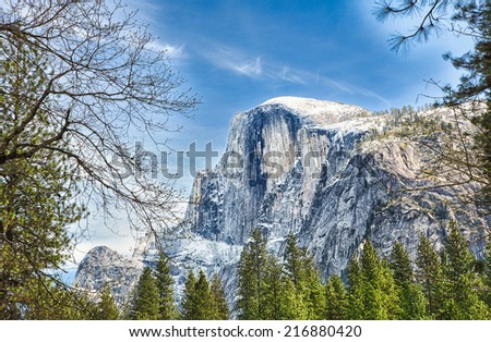 Half Dome peaks above the tree tops as seen from the valley below. Yosemite National Park, California.