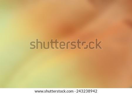 yellow and orange colors as warm background