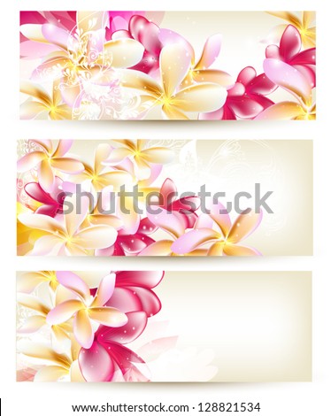 Vector set of Floral cards with pink gardenia flowers