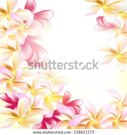 Pink gardenia flowers on white background for design