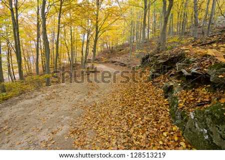 Montseny Natural Park in the fall with all colors of trees in Catalonia (Spain)