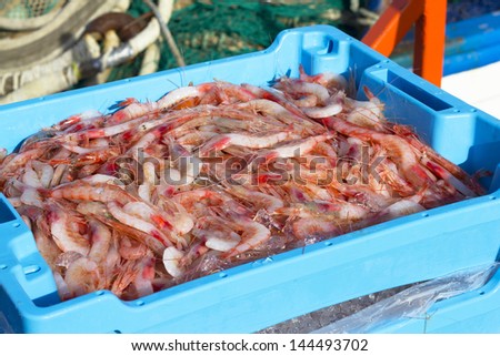 Prawn newly fished and stored in boxes with ice at port of Palamos in the Costa Brava, Catalonia (Spain)