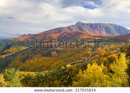 Montseny Natural Park in the fall with all  colours of trees in Catalonia (Spain). In the background you can see the mountain Les Agudes.