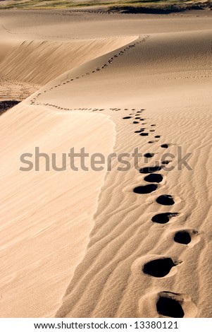 footprints in the sand going up a sand dune
