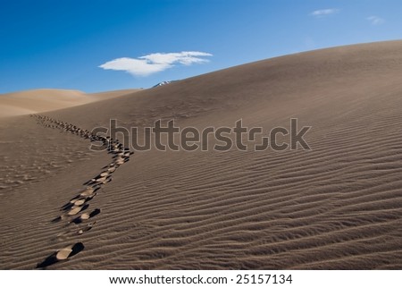 Early morning at the sand dunes with foot prints