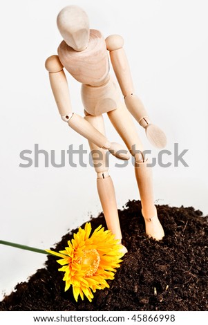 Wooden figure pays attention for yellow flower