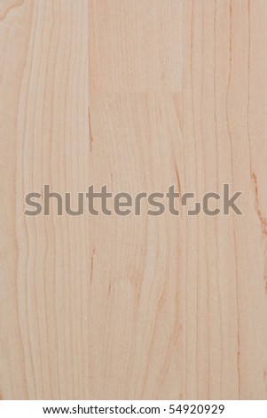 macro exposure of a bright wood grain pattern with grain and texture in evidence