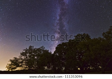 Night landscape with the Milky Way above live oak and mesquite trees