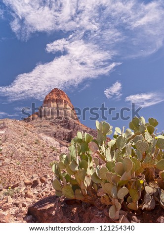 Cactus and Buttes are plentiful in Big Bend National Park in Texas.