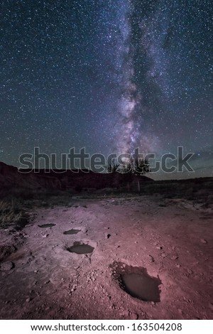 The Milky Way rises over ancient dinosaur tracks left in an old creek bed near Black Mesa, Oklahoma, USA.
