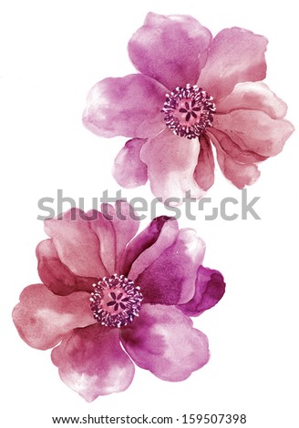 watercolor illustration flowers in simple background watercolor illustration flowers in simple background