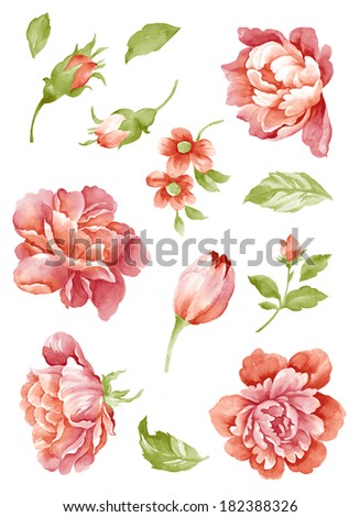 watercolor illustration flower set in simple background watercolor illustration flower set in simple background
