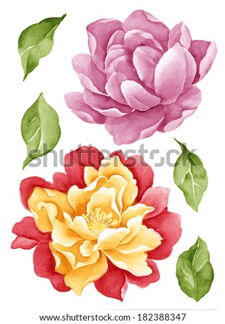 watercolor illustration flower and leaves in simple background watercolor illustration flower and leaves in simple background