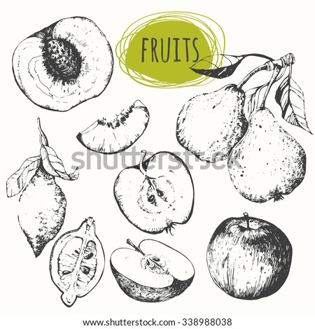 Set of hand drawn apple, lemon, pear, peach. Sketch fruits. Fresh organic food. Vector illustration with sketch fruits. Black and white sketch of food.