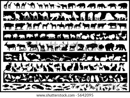 pictures of animals. stock vector : lots of animals