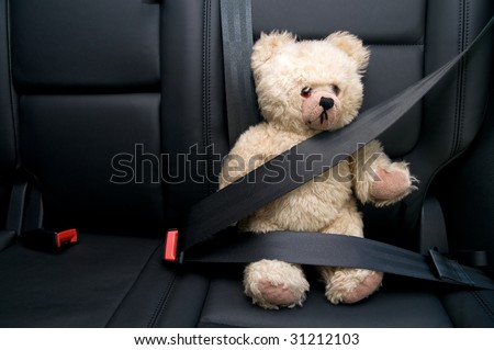 Teddy Bear buckled with safety belt in a car