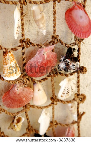 shell net decoration