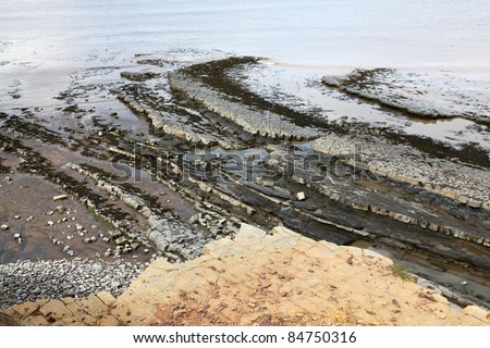 The sea bed is an incredible sight with layers of strange rocks which look like paving