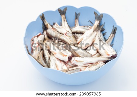 raw fish in a blue bowl isolated on a white background