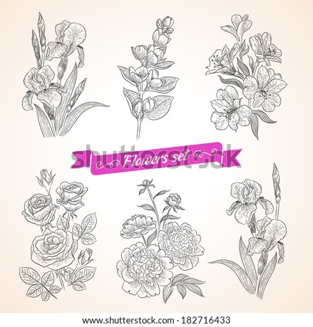 Vector Flowers Set. Collection Of Beautiful Bouquets For Your Design