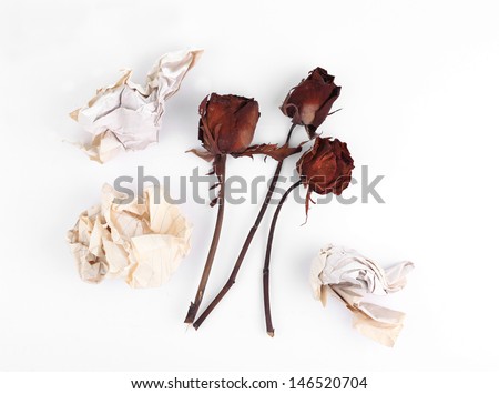 Wilting rose and crumpled old paper on white background
