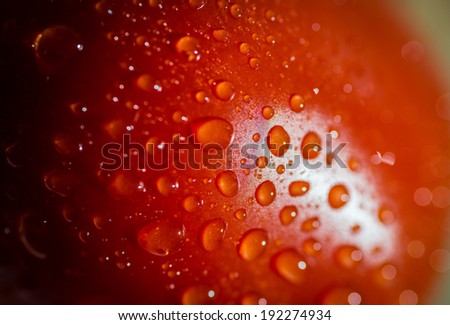 Super macro shot of tomatoes surface with water drops. Selective focus with very shallow depth of field.