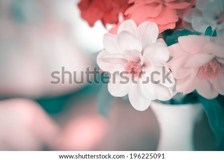 Porcelain vase with Cosmos flowers. Color toned image. Selective soft focus with shallow depth of field.