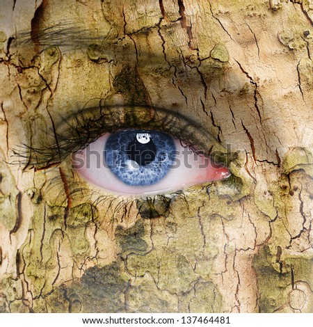 human face with an open eye covered in a tree bark texture