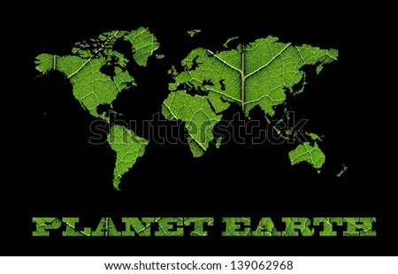 world map white leaf texture on white background