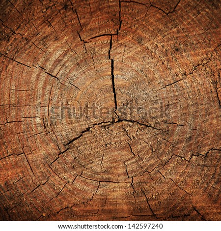 Dark brown tree trunk texture or background