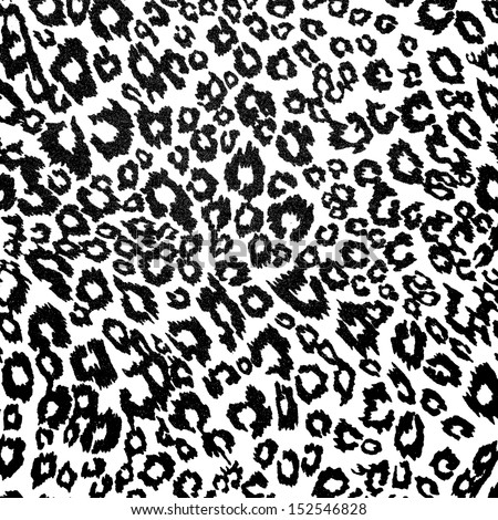 black and white leopard pattern background or texture close up