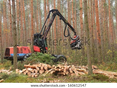 Forestry heavy harvester chopping trees