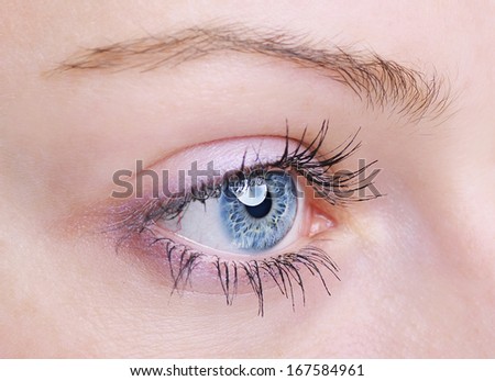 Macro image of human eye - side view