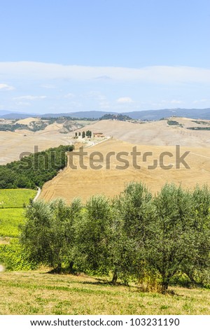Typical landscape in Val d\'Orcia (Siena, Tuscany, Italy) at summer, road of the Crete Senesi