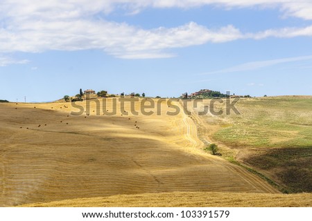 Typical landscape in Val d\'Orcia (Siena, Tuscany, Italy) at summer. Old farm