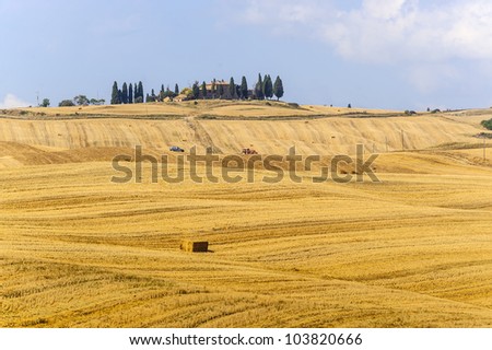 Typical landscape in Val d\'Orcia (Siena, Tuscany, Italy) at summer. Old farm