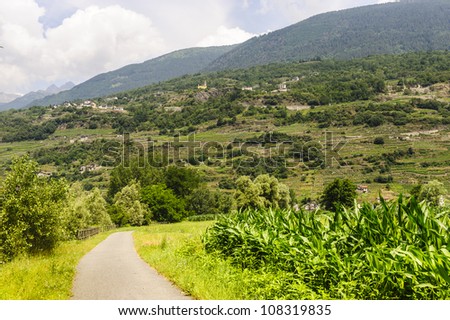 Cycle lane in Valtellina (Sondrio, Lombardy, Italy) at summer