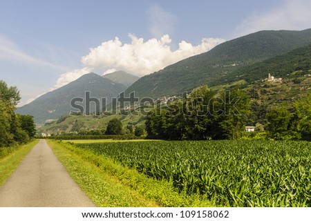 Cycle lane in Valtellina (Sondrio, Lombardy, Italy) at summer