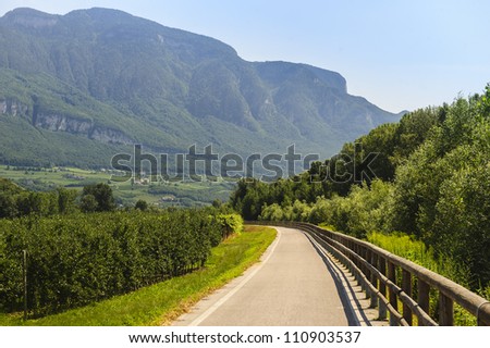 Cycle lane of the Adige valley near Bolzano (Trentino Alto Adige, Italy) at summer