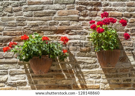 Monterubbiano (Ascoli Piceno, Marches, Italy) - Potted plants in flower hanged on a bricked wall