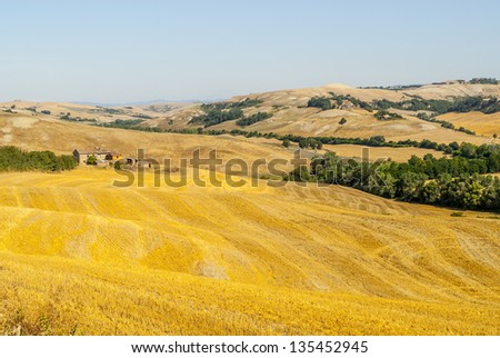Crete senesi, characteristic landscape in Val d\'Orcia (Siena, Tuscany, Italy) along the road from Asciano to Torre a Castello