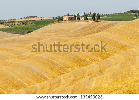 Crete senesi, characteristic landscape in Val d\'Orcia (Siena, Tuscany, Italy) along the road from Asciano to Torre a Castello