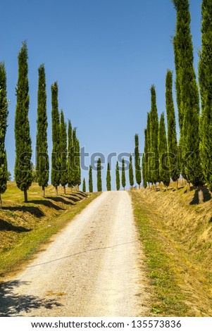 Crete senesi, characteristic landscape in Val d'Orcia (Siena, Tuscany, Italy) . Road with cypresses