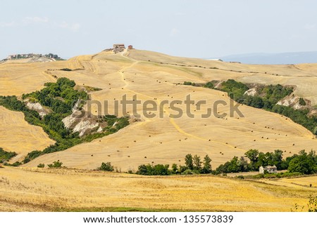 Crete senesi, characteristic landscape in Val d'Orcia (Siena, Tuscany, Italy) along the road from Asciano to Torre a Castello