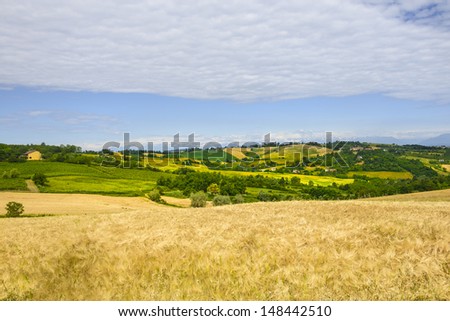 Country landscape of Monferrato (Asti, Piedmont, Italy) at summer, with vineyards and the Alps in background
