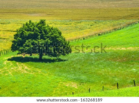 Country landscape in Aveyron, near Saint-Sernin-sur-Rance, France) at summer