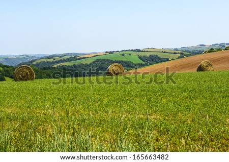Country landscape in Tarn (France) at summer