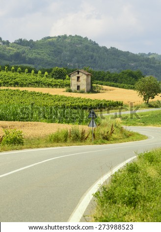 Summer landscape in Monferrato (Piedmont, Italy), road with vineyards