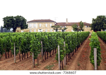 Vineyard and farm - house near Bordeaux (Aquitaine, France)